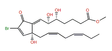 (Z)-5-epi-Bromopunaglandin 3